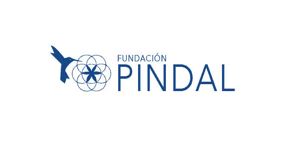 Historia de la Sintergética en Chile