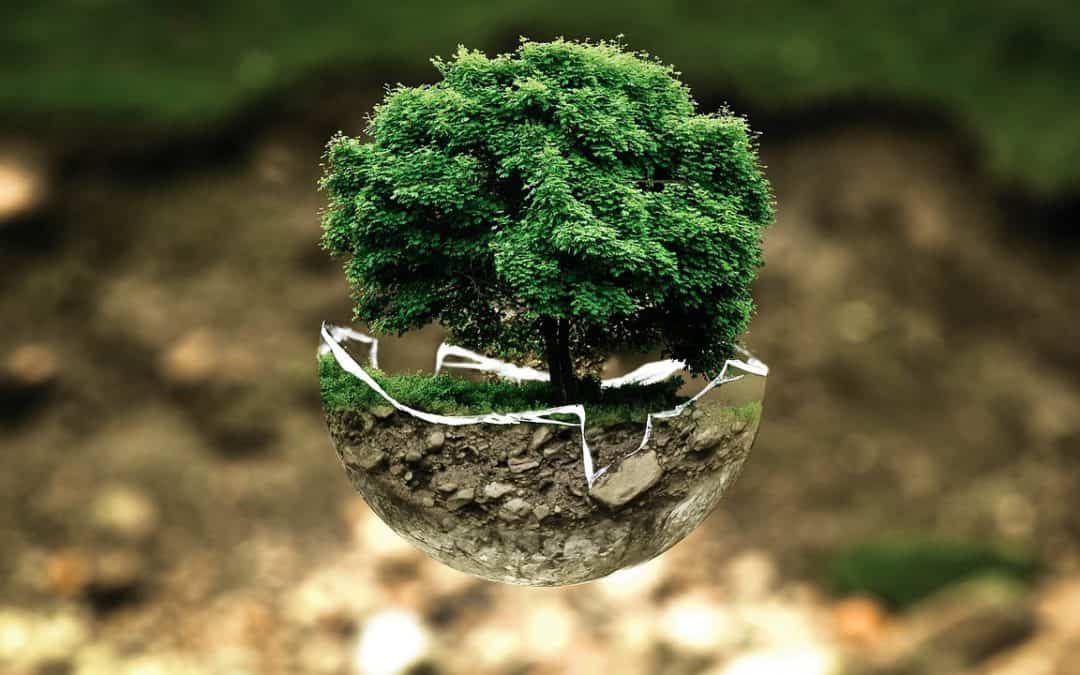 Retorno al Ser que Somos | Cómo daña la contaminación a nuestro cuerpo