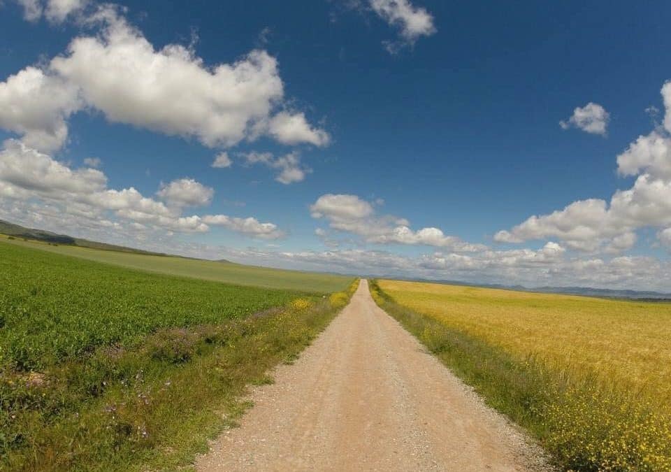 Retorno al Ser que somos | Pensamientos de marzo: como un río de luz que viene de las alturas e invade vuestro ser
