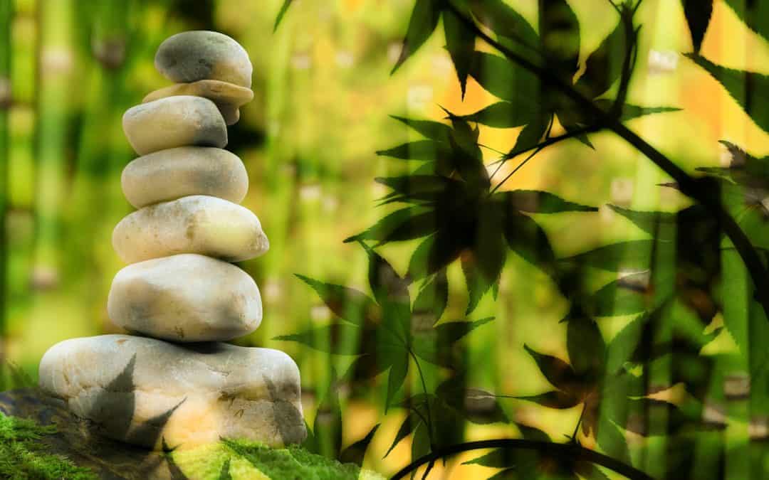 Por qué y para qué una gestión de la Espiritualidad