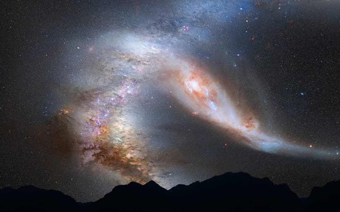 La conciencia y el fenómeno humano