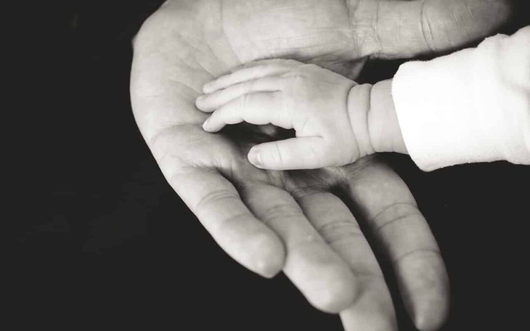 Retorno al SER que somos. Hacia un Humanismo