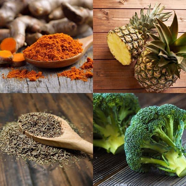 Ciclo Fundamentos científicos de la dieta anticancer – Entrega III