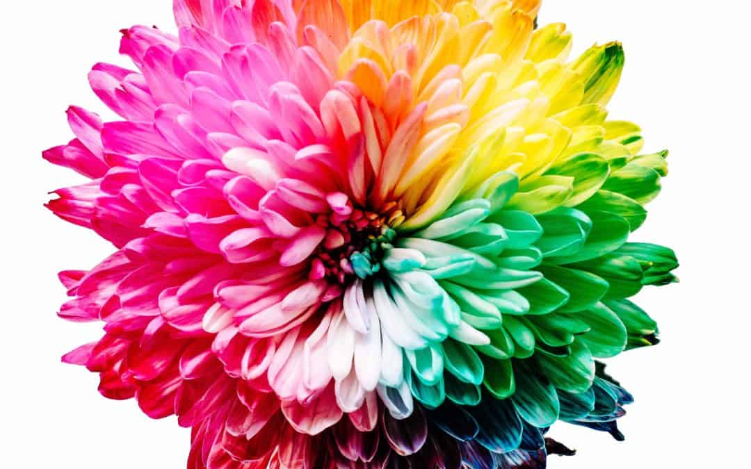 La vida en color