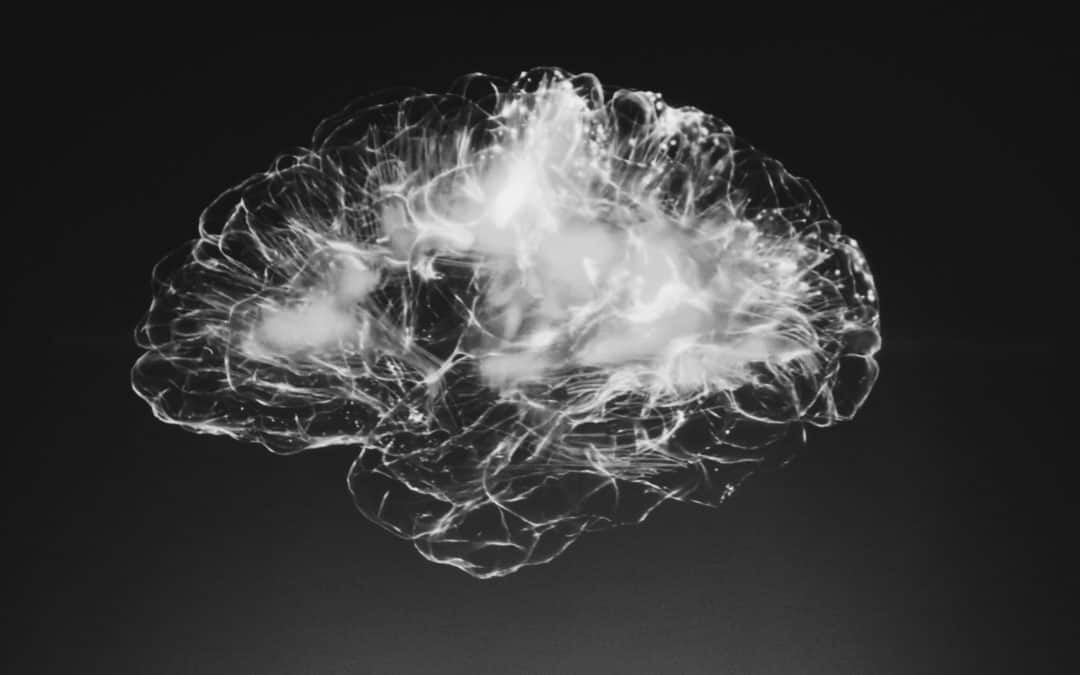 Ciencia y Conciencia