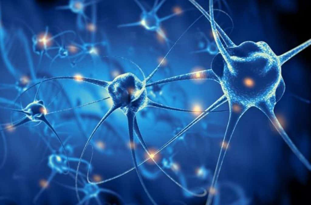 Seis Formas De Mantener Joven Tu Cerebro