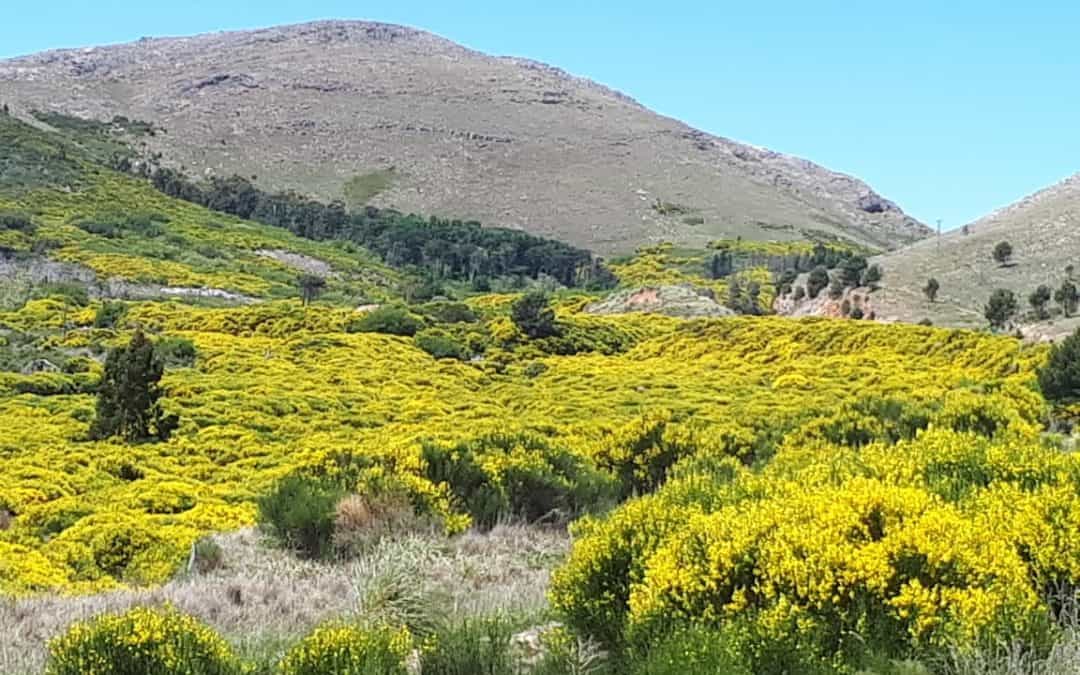 Experiencias vividas en la Caravana Sierra de la Ventana, Argentina