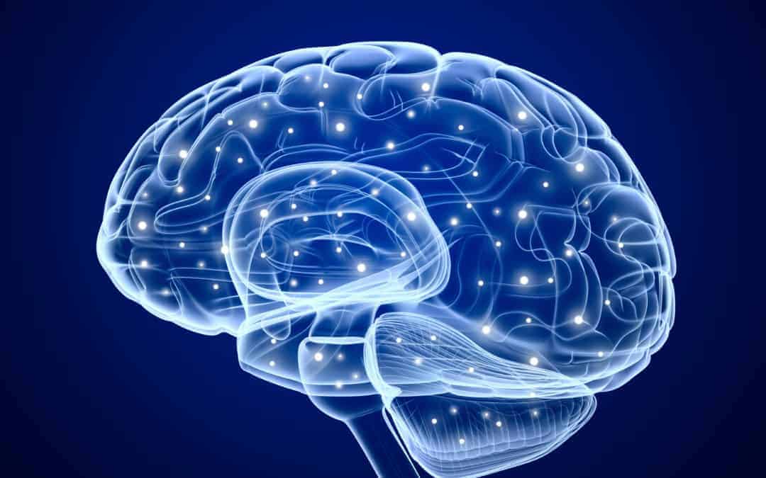 Neurofisiología de la Unidad Mente-Cuerpo en Sintergética