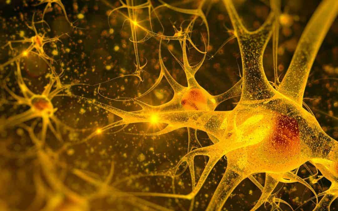Sintergetica y Psicología Energética