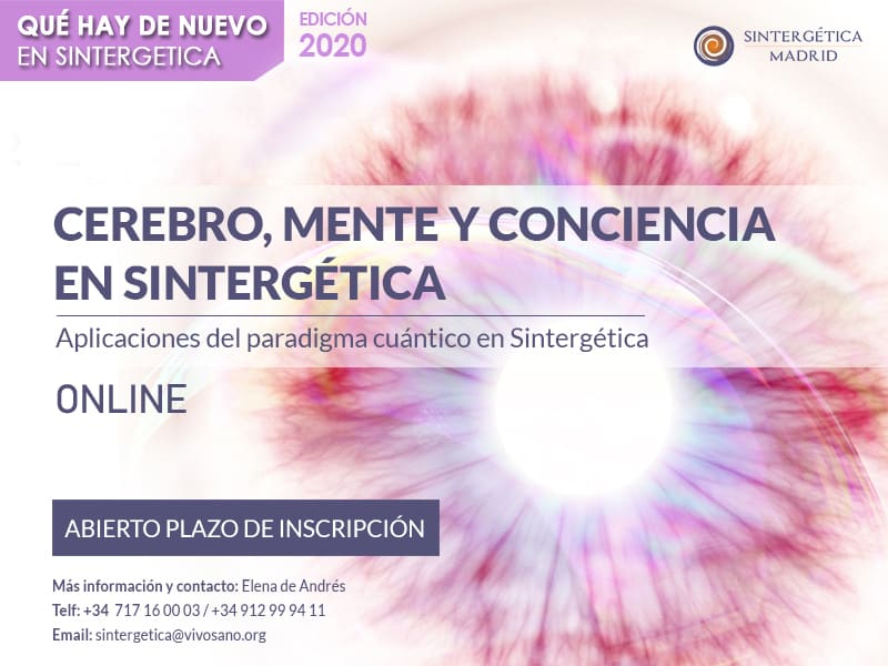Que hay de nuevo en Sintergetica