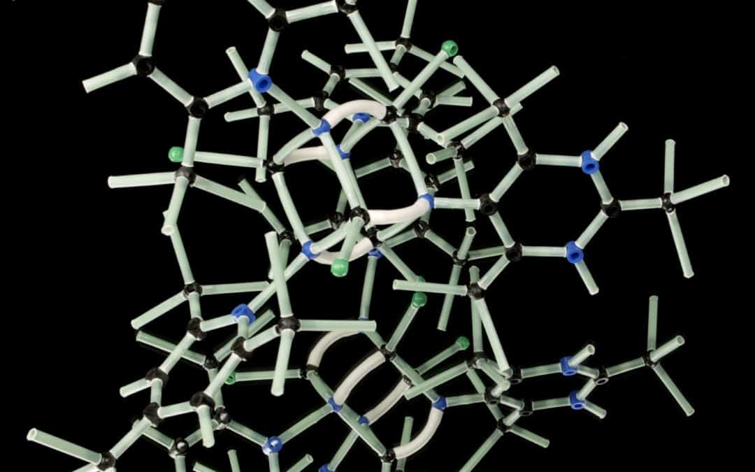 El impacto de las creencias en la salud y en la enfermedad. Psiconeuroendocrinoinmunologia Conclusiones Finales