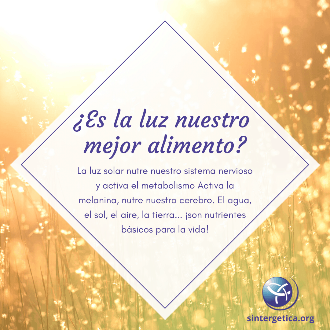 La luz: nuestro mejor alimento