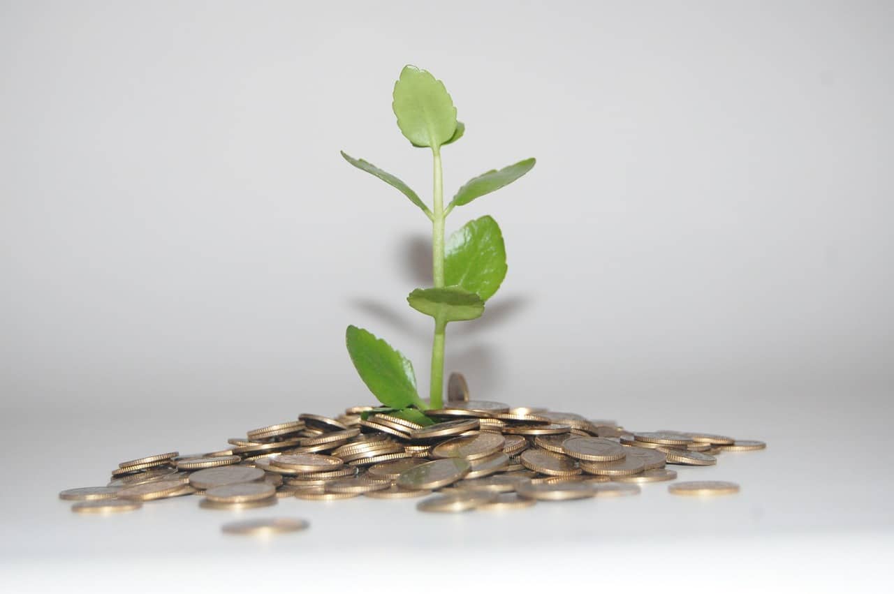 La importancia fundamental del medio ambiente